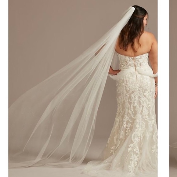 David's Bridal Accessories - Bridal Veil